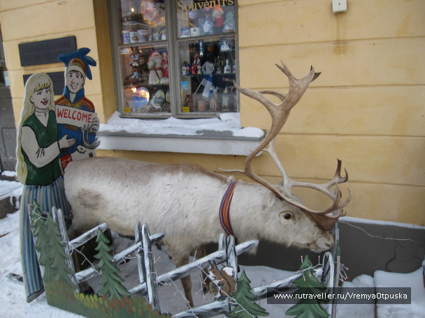 photo 74983