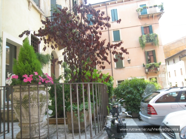 photo 776431