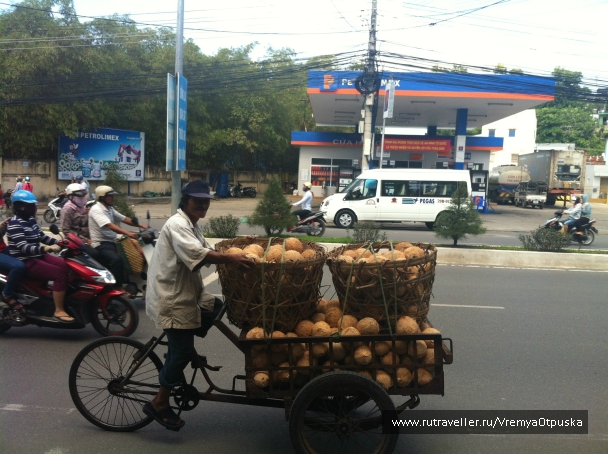 photo 940023