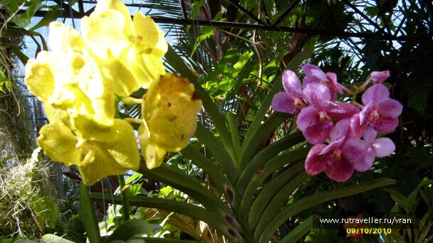 photo 16982