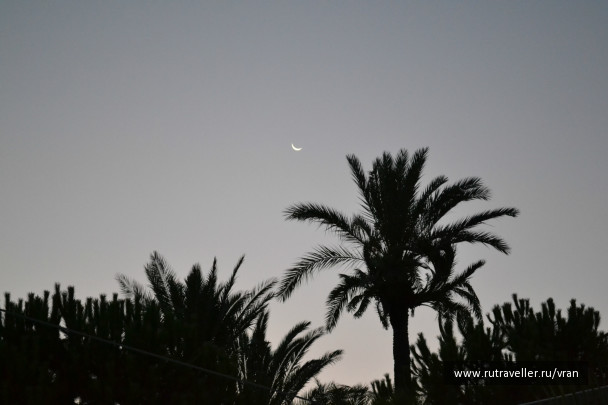 photo 507017