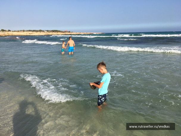 photo 1662397