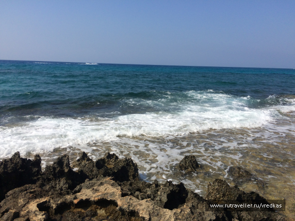 photo 1662409