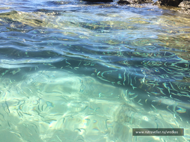 photo 1662425