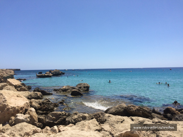photo 1662427