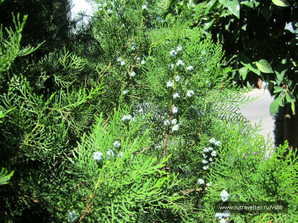 photo 397161