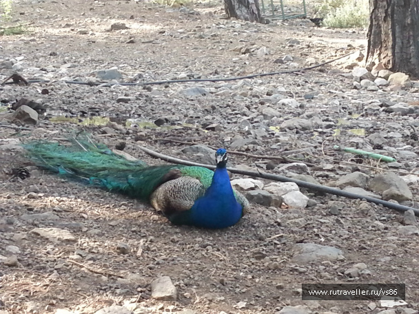 photo 397191