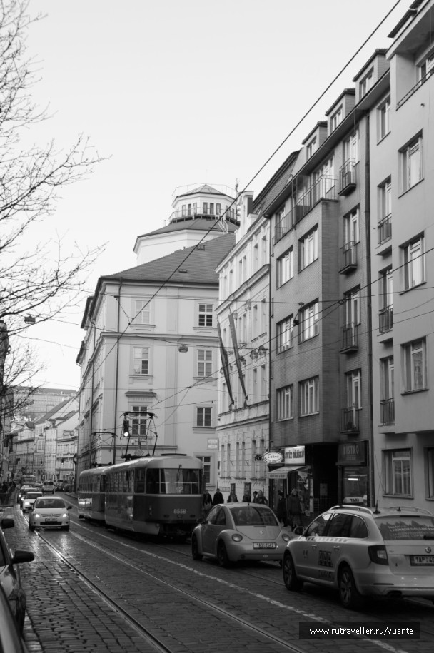 photo 223426