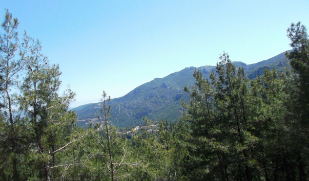 DSCF4189