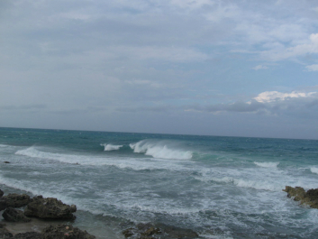 photo 691841