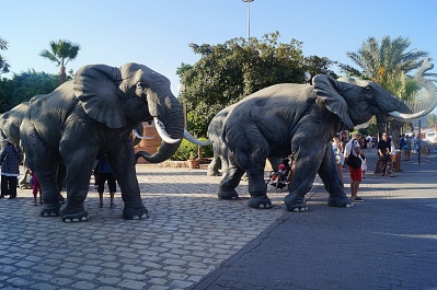 photo 1342143