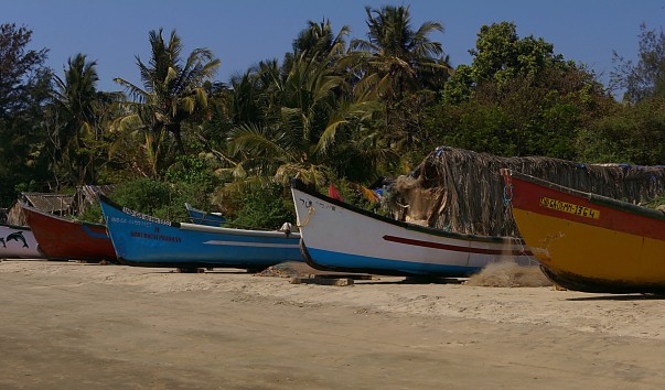 DSC04818