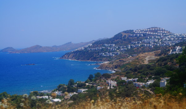 DSC05773