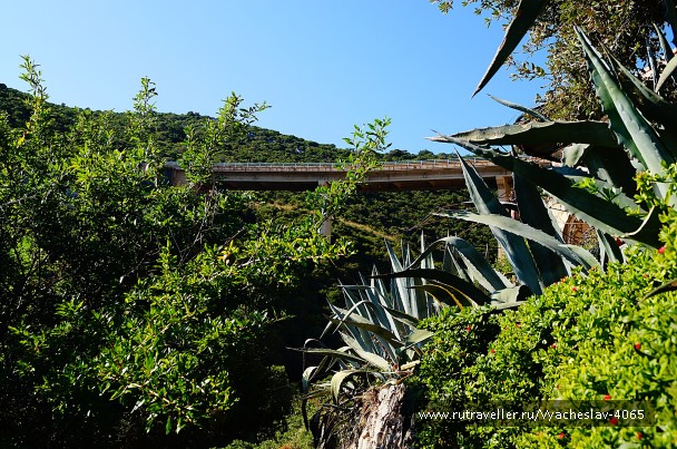 photo 1786713