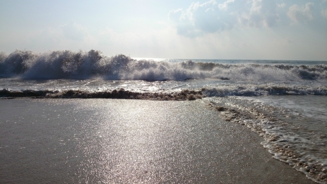 photo 842789