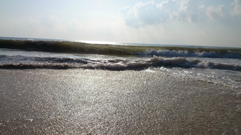 photo 842790