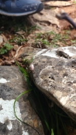 photo 842819