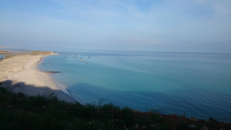 photo 842825