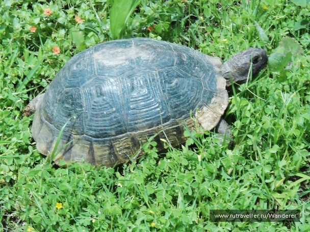 photo 14343