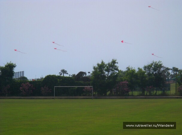 photo 14347