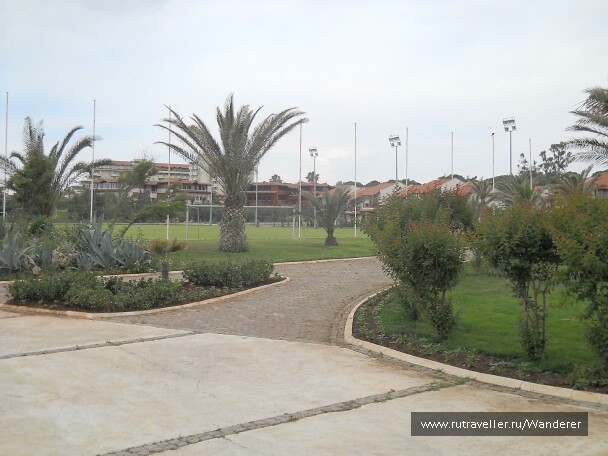 photo 14436