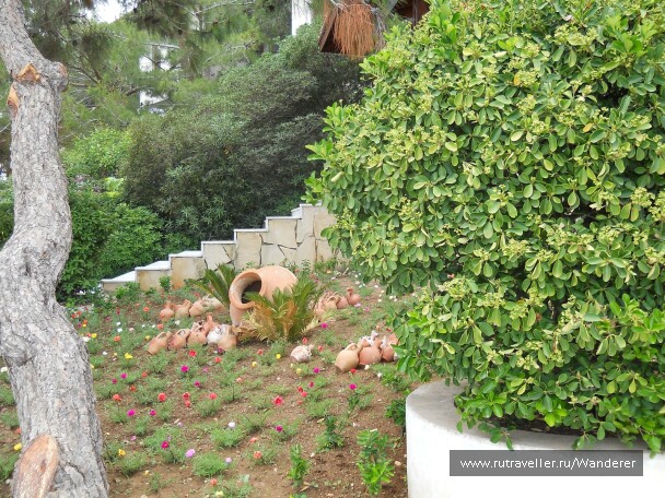 photo 14452
