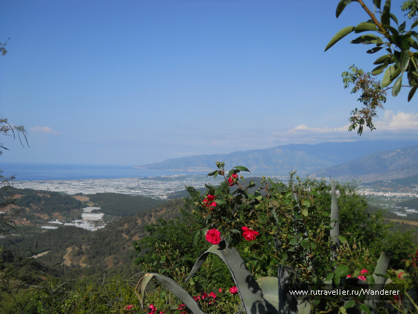 photo 1144835