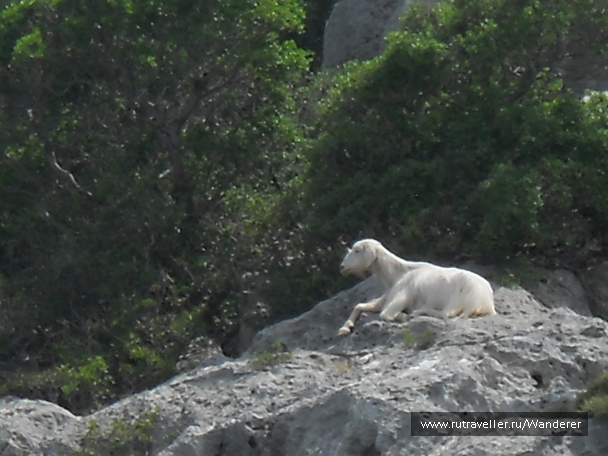 photo 1144836