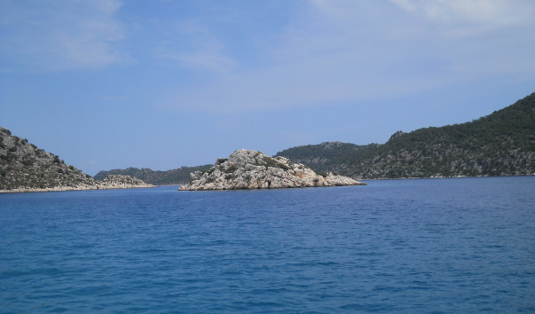 DSCN1446