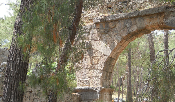 DSCN1329