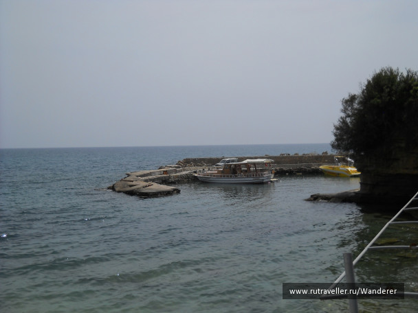 photo 1404239