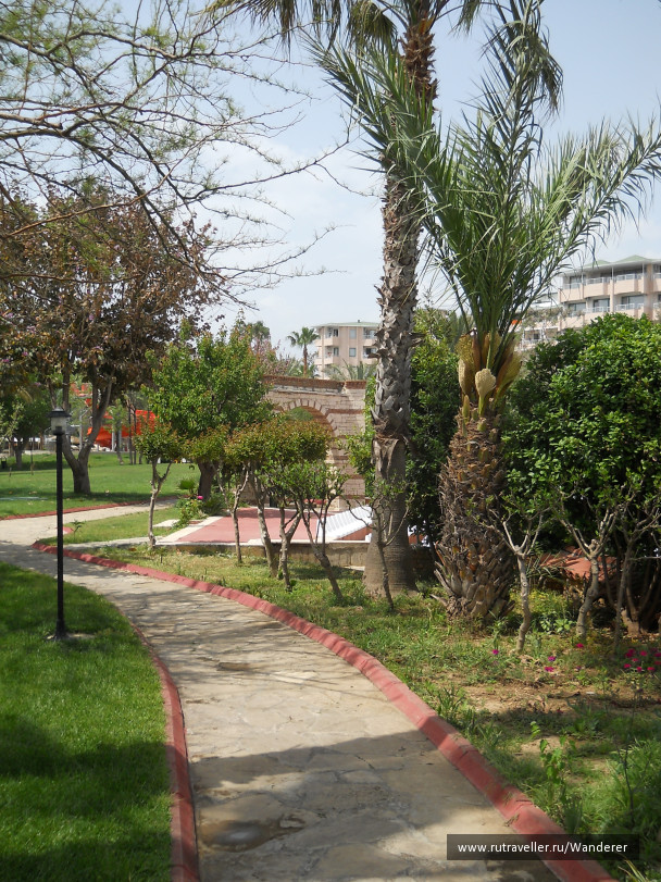photo 1404247
