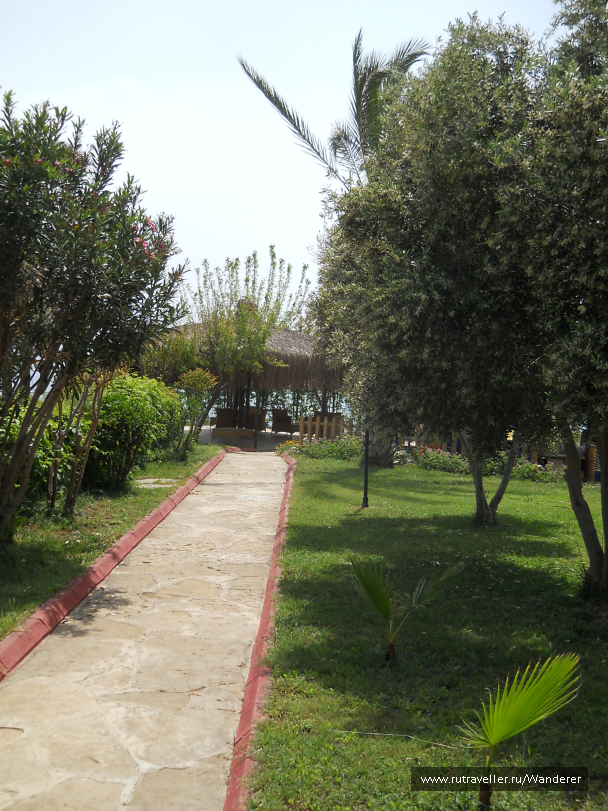 photo 1404249