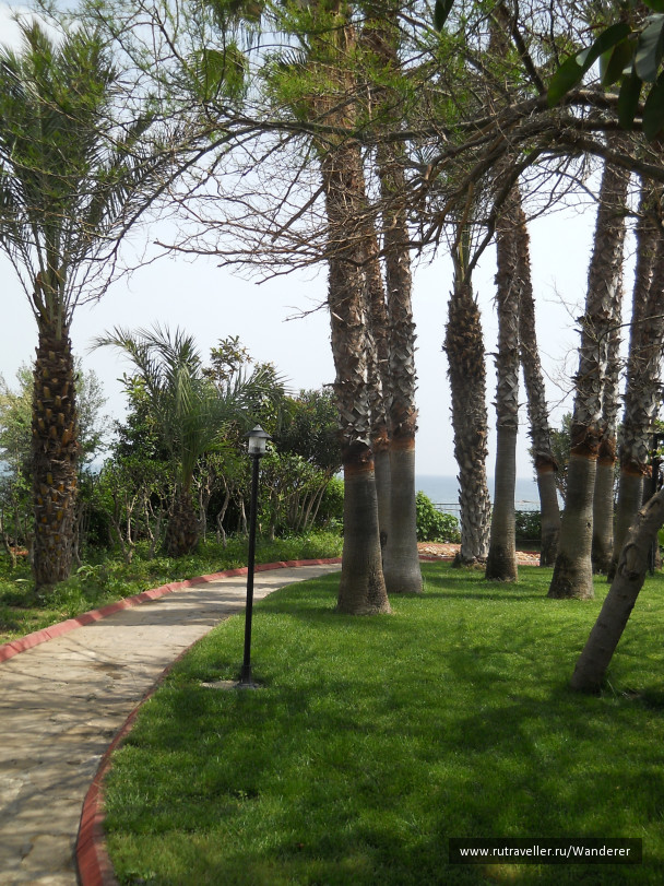 photo 1404255