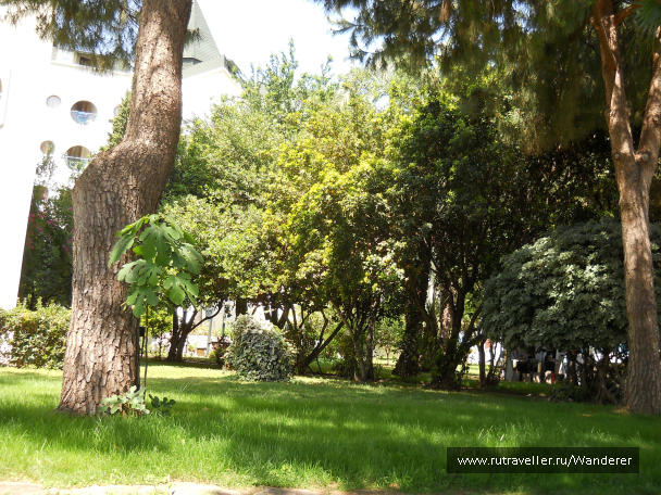 photo 1702913