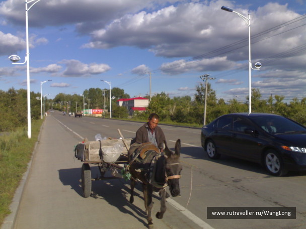 photo 12486