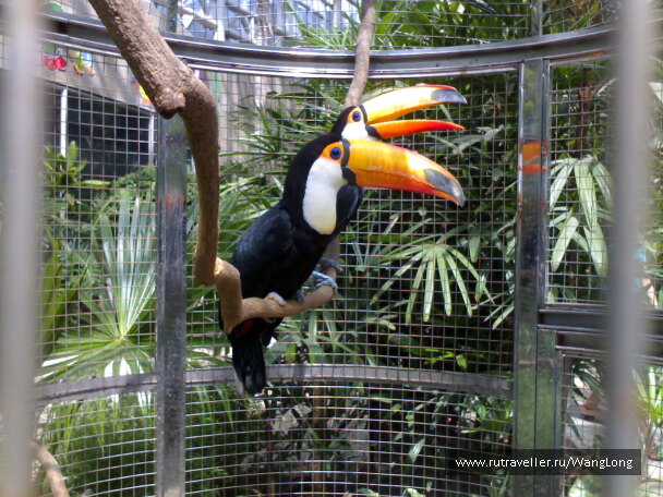 photo 12515