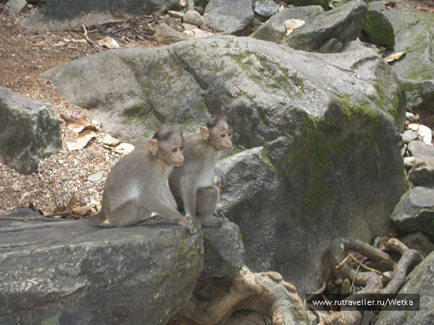 photo 128143