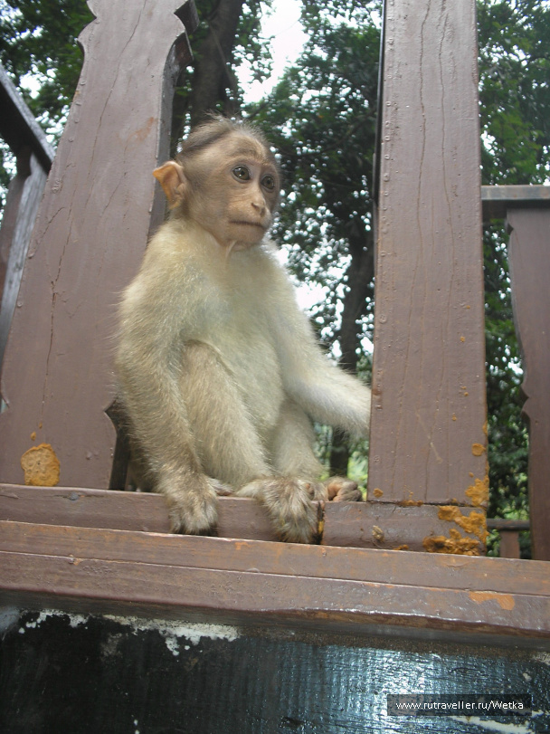 photo 128144