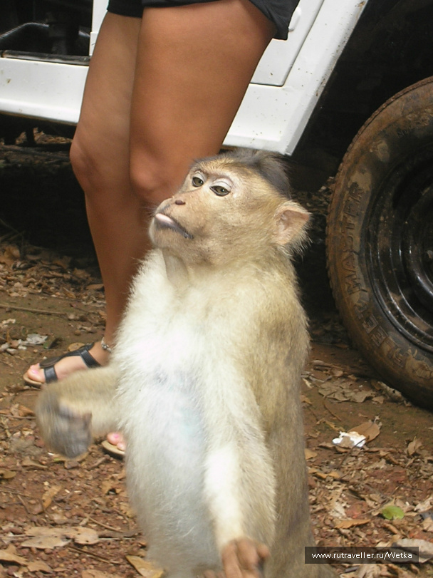photo 128146
