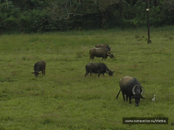 photo 128150