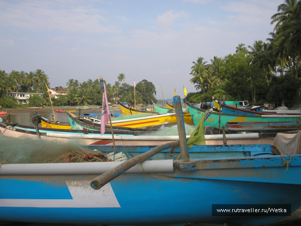 photo 128183