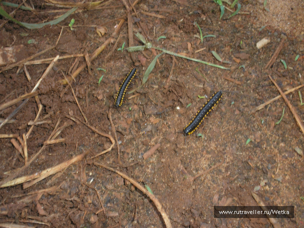 photo 128199