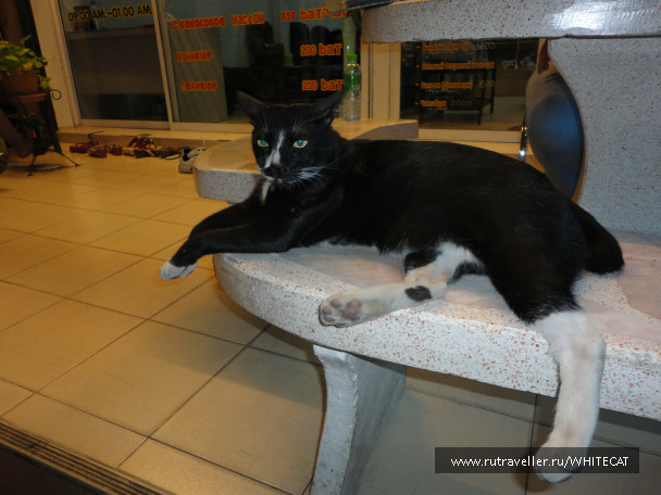 photo 115921