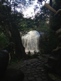 photo 287103