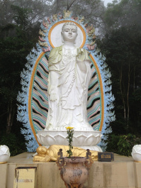 photo 287164