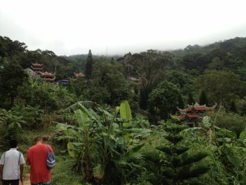photo 287188