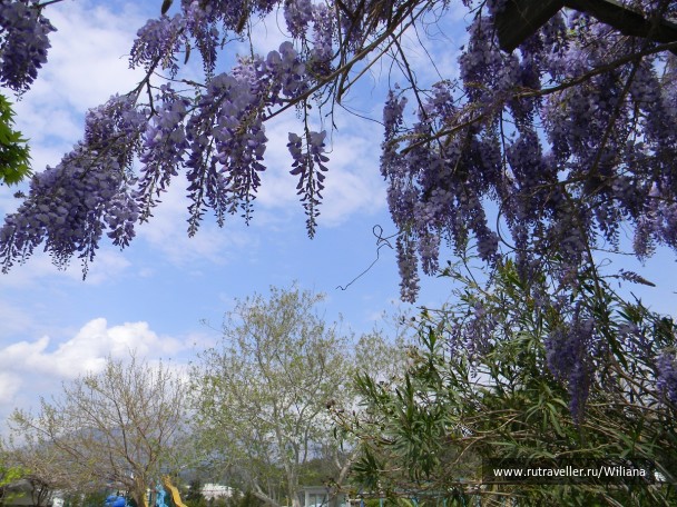 photo 69711