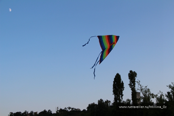 photo 793742