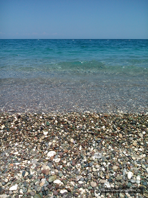 photo 1108835